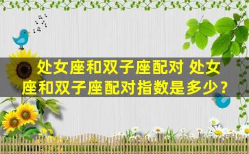 处女座和双子座配对 处女座和双子座配对指数是多少？